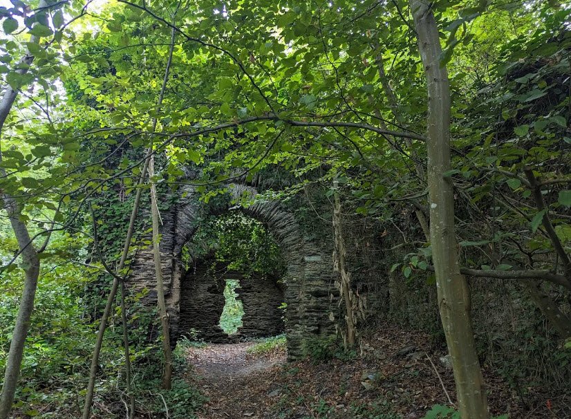 Burgruine Stein, Nassau, Germany, Germany